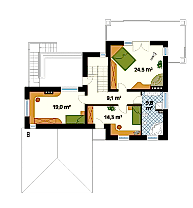 Примула Примула