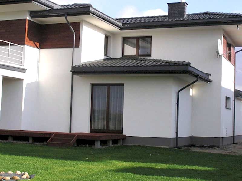 Примула Примула