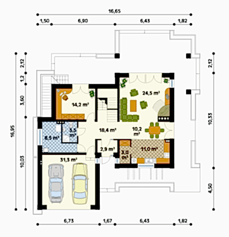 Примула Примула